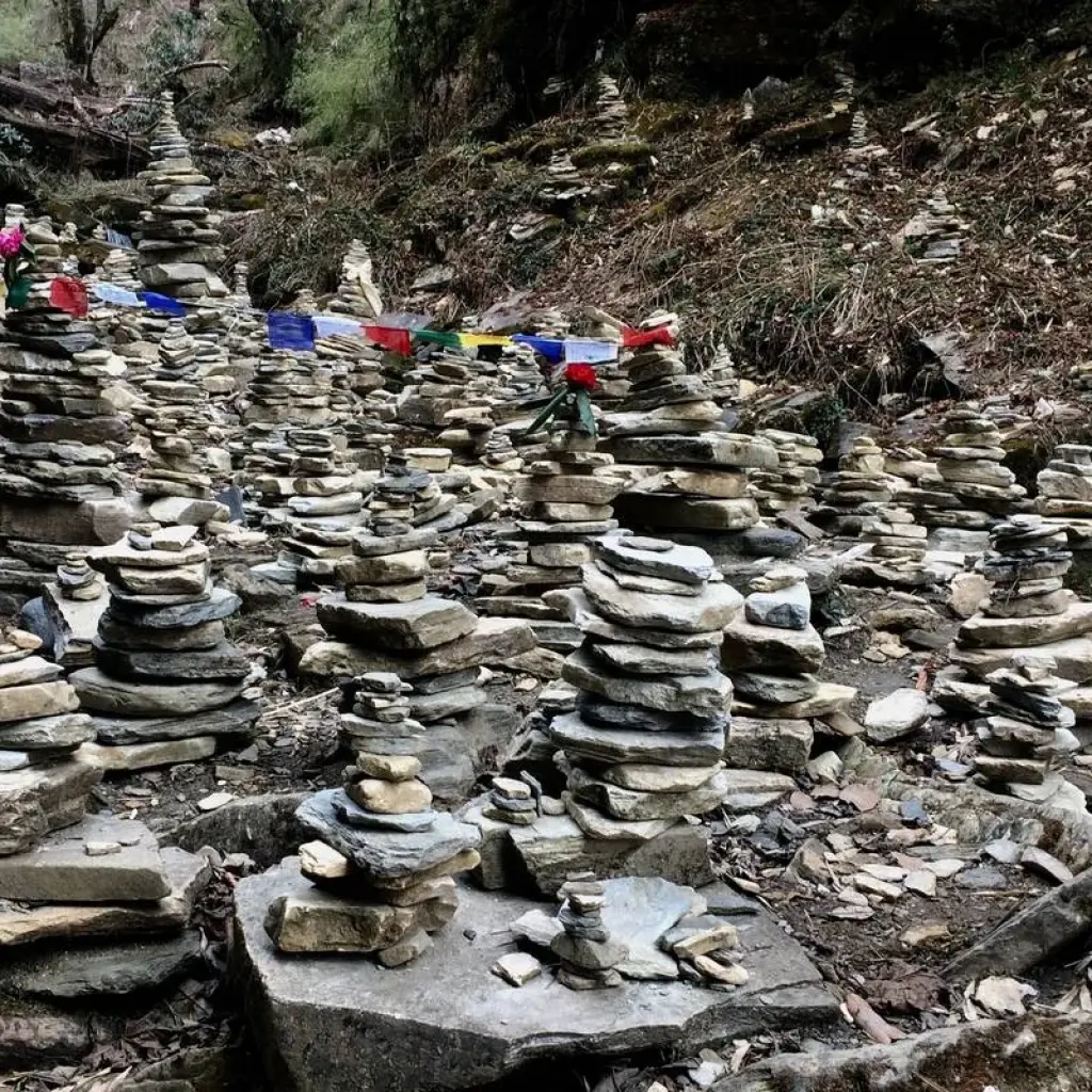 Explore Ghorepani Poon Hill Trek - 8 Days for 8 days with Glorious Himalaya Trekking Pvt. Ltd. and discover unforgettable experiences - Photo 2