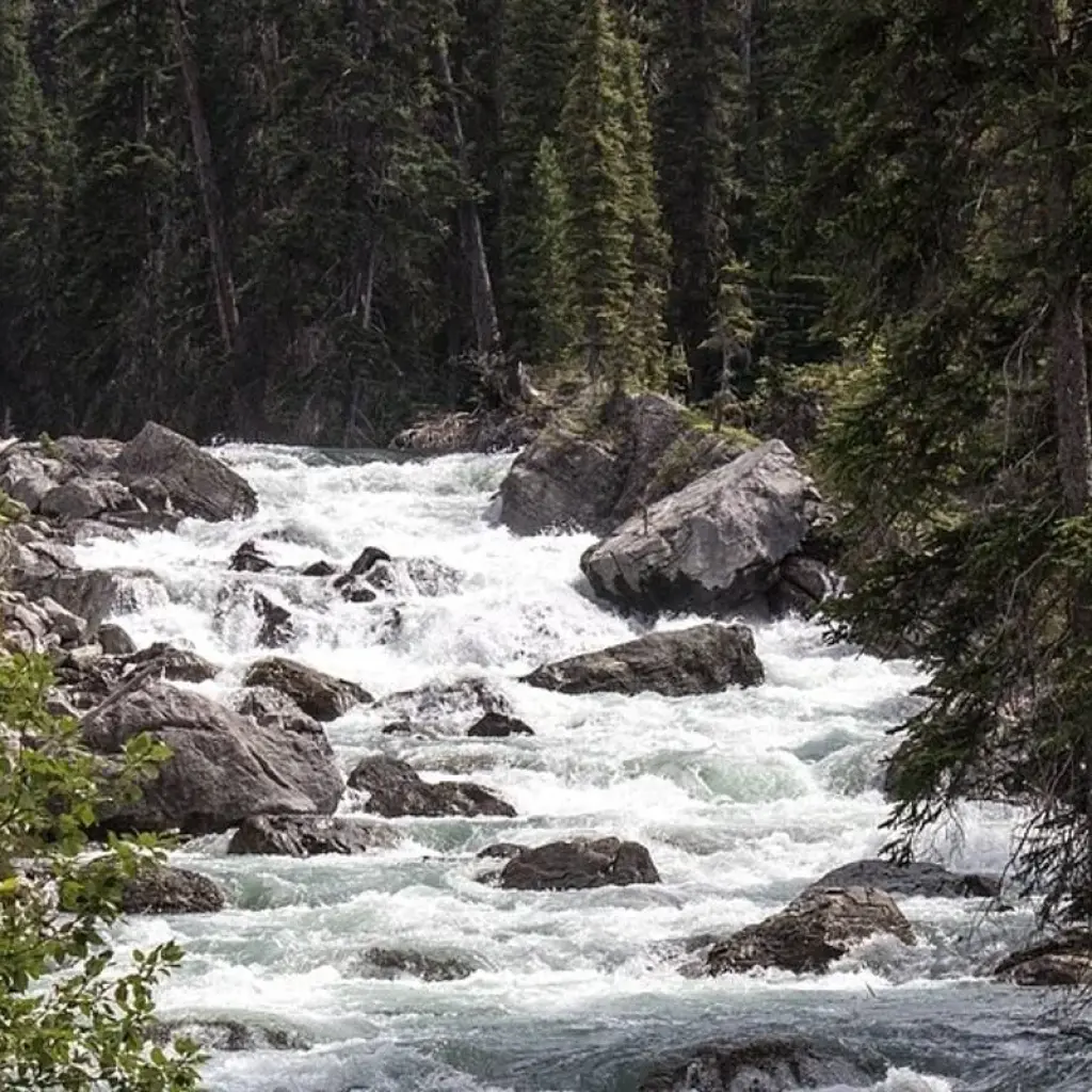 Explore Glacier National Park & the Canadian Rockies with the Calgary Stampede for 11 days with Globus and discover unforgettable experiences - Photo 2