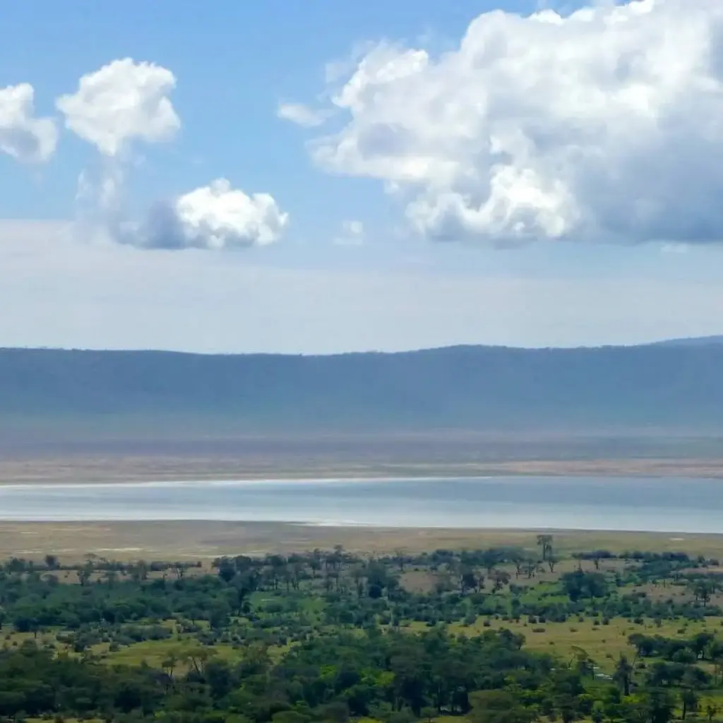 Explore 6 Days 5 Nights Private Safari Kenya Tanzania Mid Range Safari for 6 days with Golden world explore and discover unforgettable experiences - Photo 2