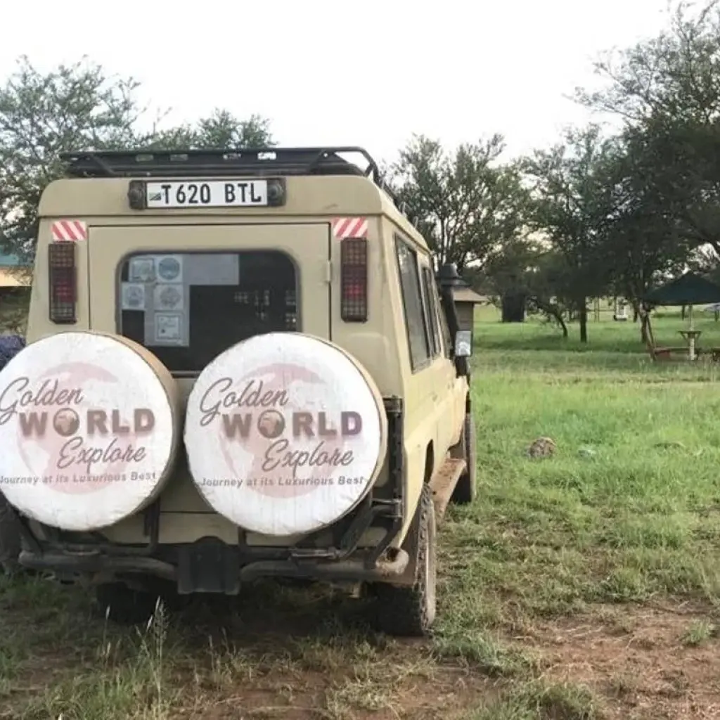 Explore 7 Days Wildlife Safari for 7 days with Golden world explore and discover unforgettable experiences - Photo 2