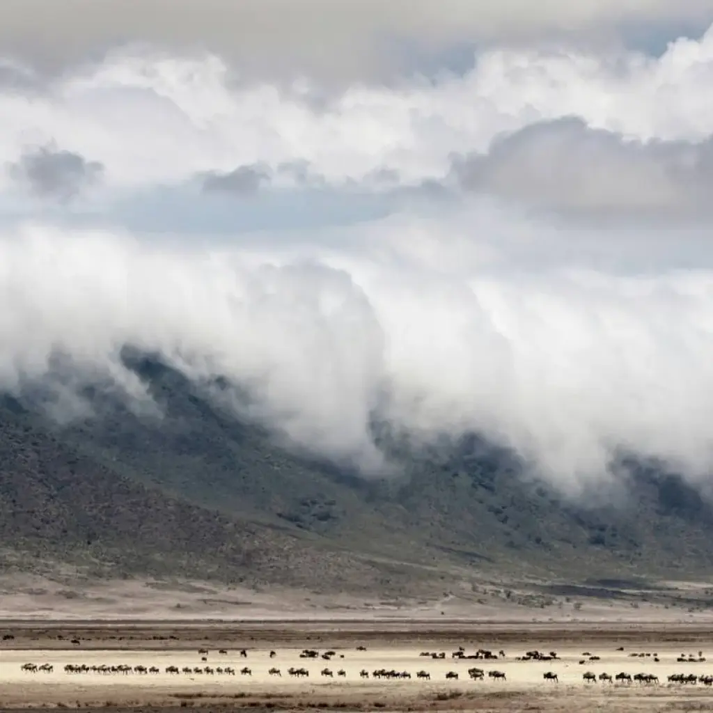 Explore 9 Days 8 Nights Private Safari Kenya Tanzania Mid Range Safari for 9 days with Golden world explore and discover unforgettable experiences - Photo 2
