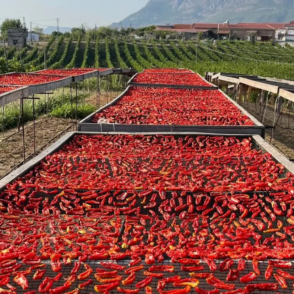 Explore Mini Tour: National Parks of Theth & Valbone for 4 days with Good Albania and discover unforgettable experiences - Photo 2