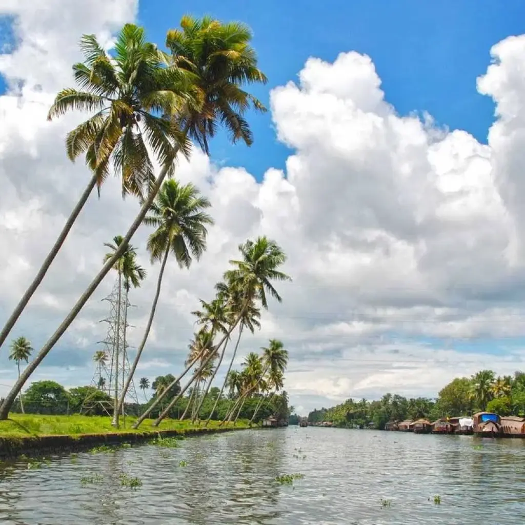 Explore Luxury Kerala Intro for 7 days with Golden Triangle India Tours and discover unforgettable experiences - Photo 2