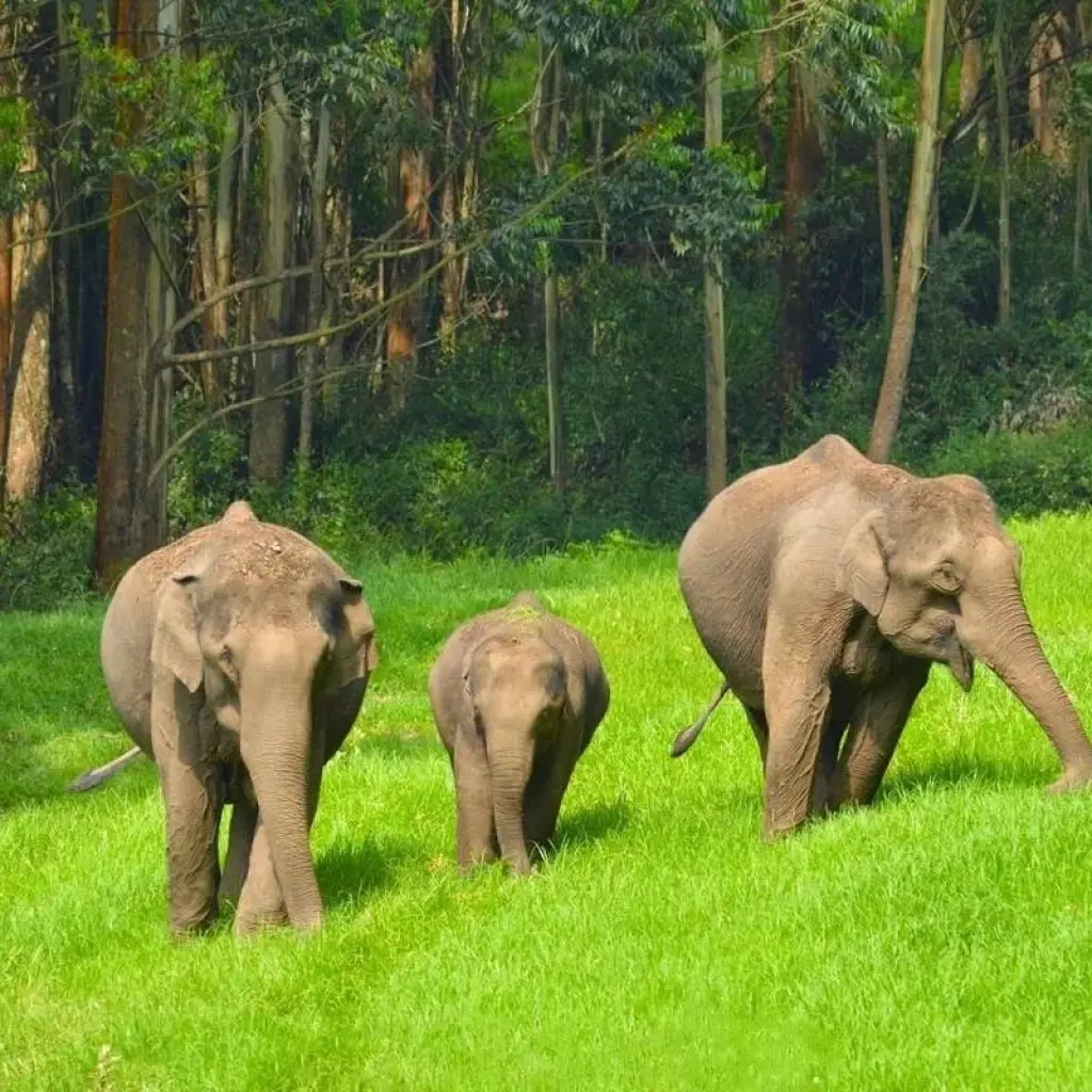 Explore Tour of India for 15 days with Golden Triangle India Tours and discover unforgettable experiences - Photo 2