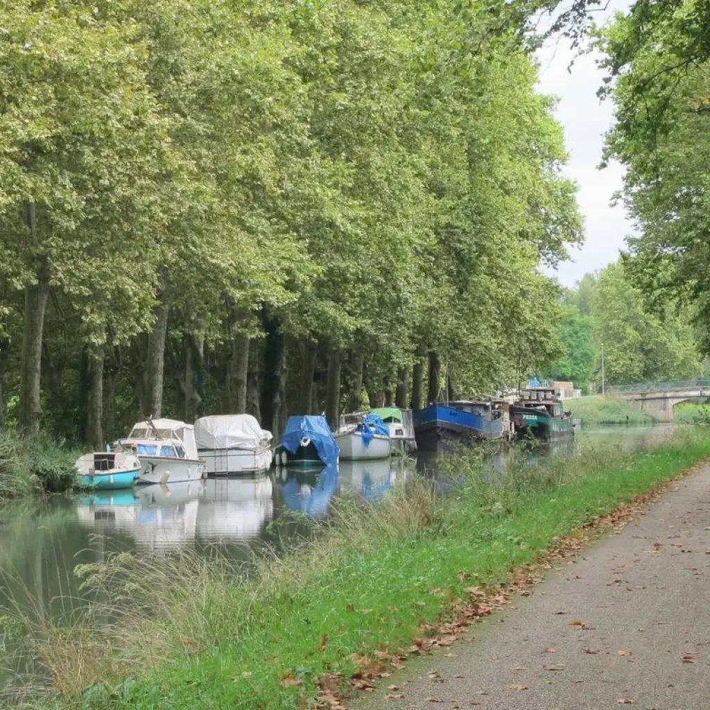 Explore From Bordeaux to Toulouse or Toulouse to Bordeaux by Bike Self-Guided for 7 days with Grand Angle  and discover unforgettable experiences - Photo 2