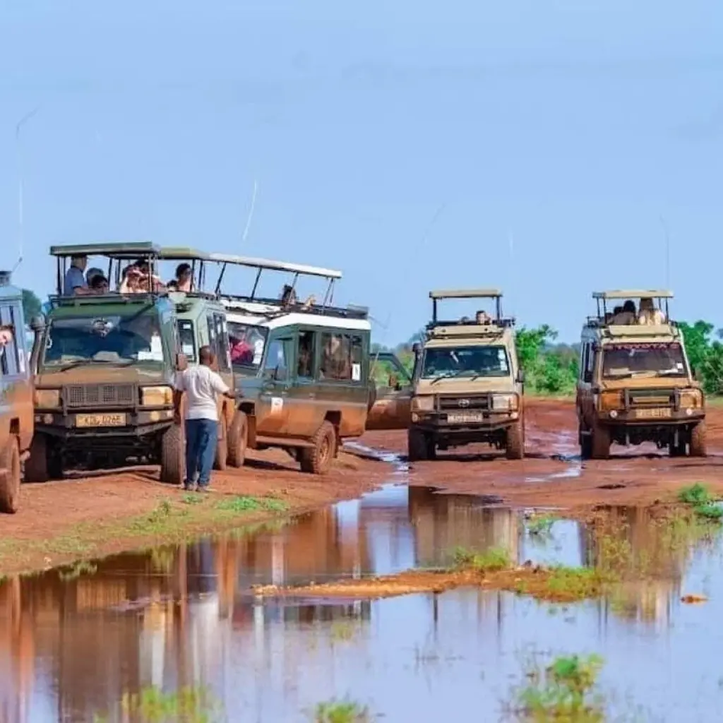 Explore 5-Day Highlight of Kenya's Wildlife, Sceneries & Culture(Maasai Mara, L.Naivasha,Solio) for 5 days with Gracepatt Ecotours Kenya and discover unforgettable experiences - Photo 2