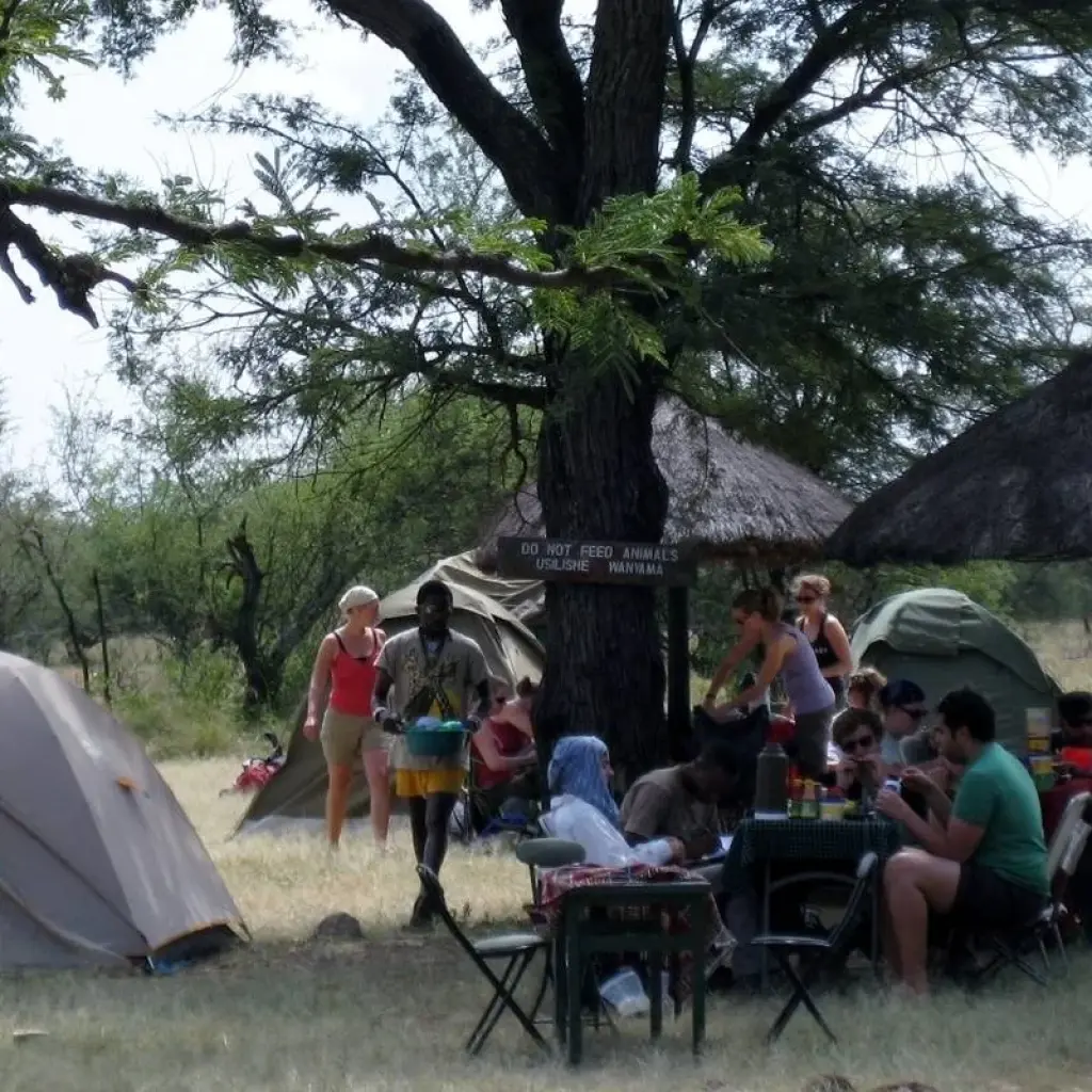 Explore 6-Day Tanzania Camping Safari: Lake Manyara, Serengeti, Ngorongoro Crater  and Tarangire National Park from Arusha for 6 days with Gracepatt Ecotours Kenya and discover unforgettable experiences - Photo 2
