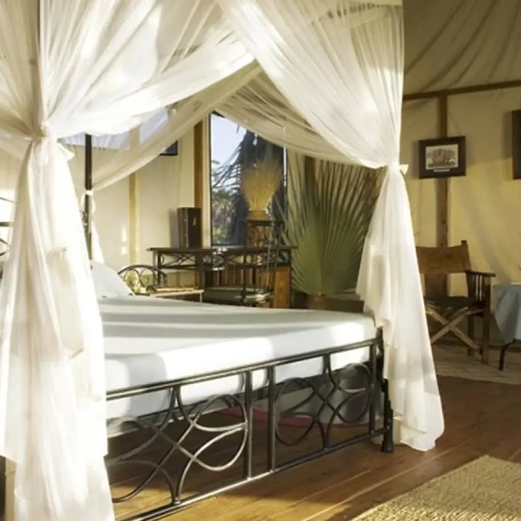 Explore 3-Days Masai Mara mid range Safari Combined with Hot Air Balloon Ride Experience for 3 days with Gracepatt Ecotours Kenya and discover unforgettable experiences - Photo 2