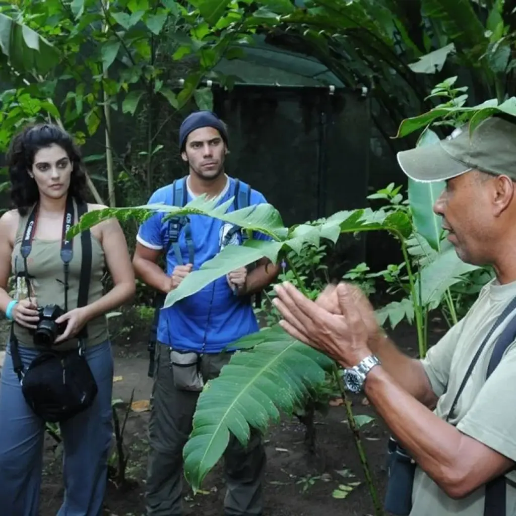 Explore Costa Rica Family Vacations for 6 days with Green World Adventures and discover unforgettable experiences - Photo 2