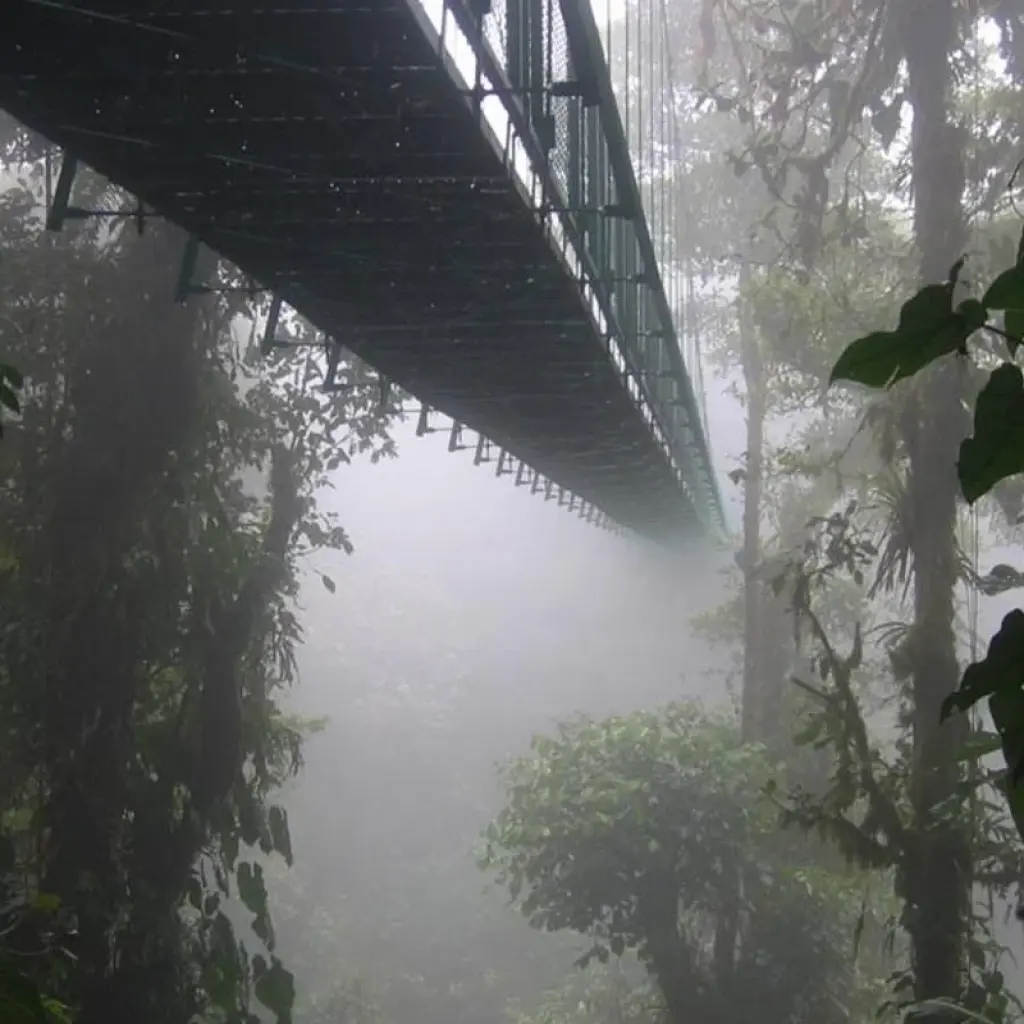 Explore The Best of Costa Rica (From Caribbean Coast to Pacific Side) for 13 days with Green World Adventures and discover unforgettable experiences - Photo 2