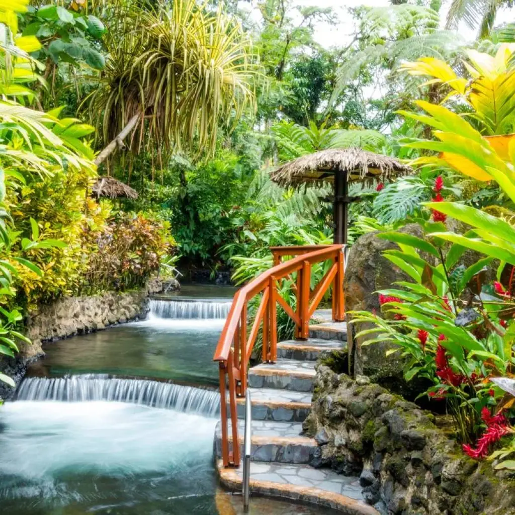 Explore Our Costa Rican Highlights for 10 days with Green World Adventures and discover unforgettable experiences - Photo 2