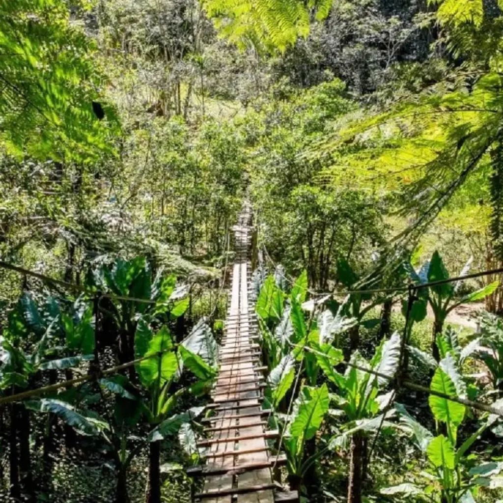 Explore Pangalanes  Channel extraordinary journey for 14 days with Green Island Discovery and discover unforgettable experiences - Photo 2