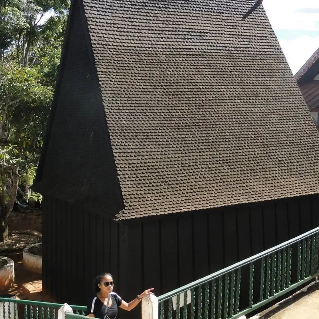 Explore A day of cultural and ecotourism discovery in Antananarivo for 1 days with Green Island Discovery and discover unforgettable experiences - Photo 2