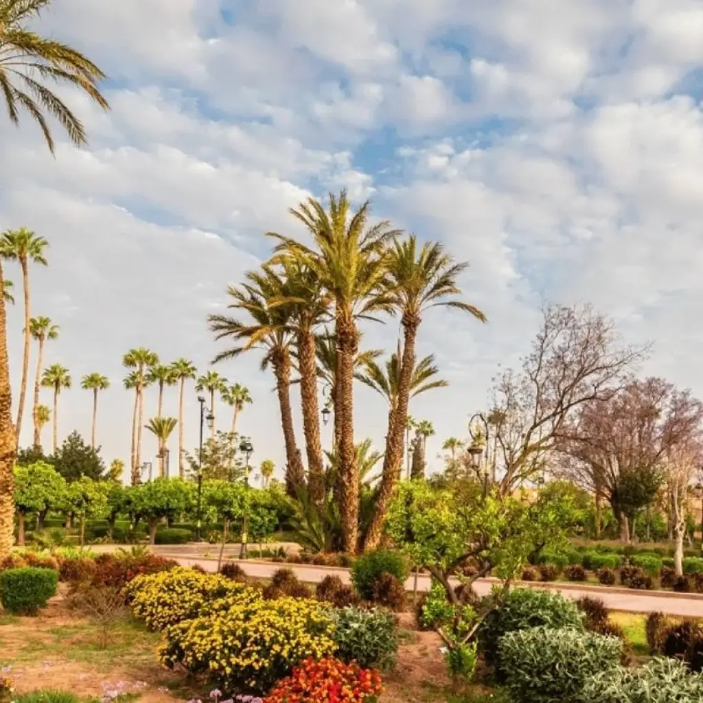 Explore 11 Days Private Tour from Casablanca for 11 days with Guided Morocco Tours and discover unforgettable experiences - Photo 2