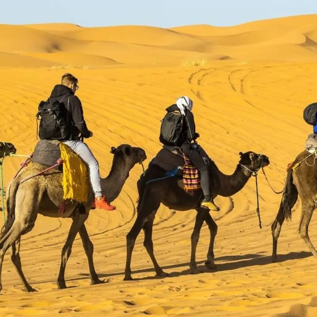 Explore Totally Morocco - 11 Days Private Tour from Marrakech for 11 days with Guided Morocco Tours and discover unforgettable experiences - Photo 2