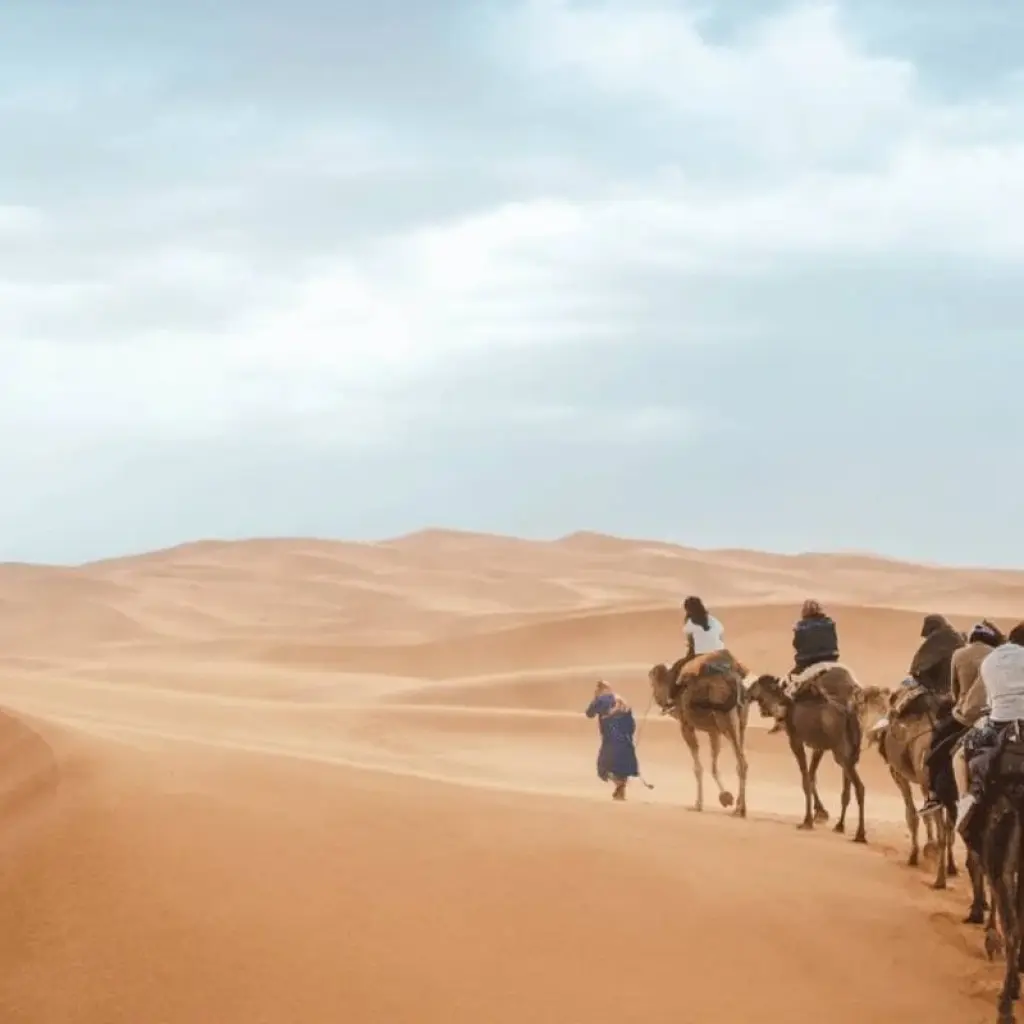 Explore ​7 Days Tour from Tangier to Marrakech for 7 days with Guided Morocco Tours and discover unforgettable experiences - Photo 2