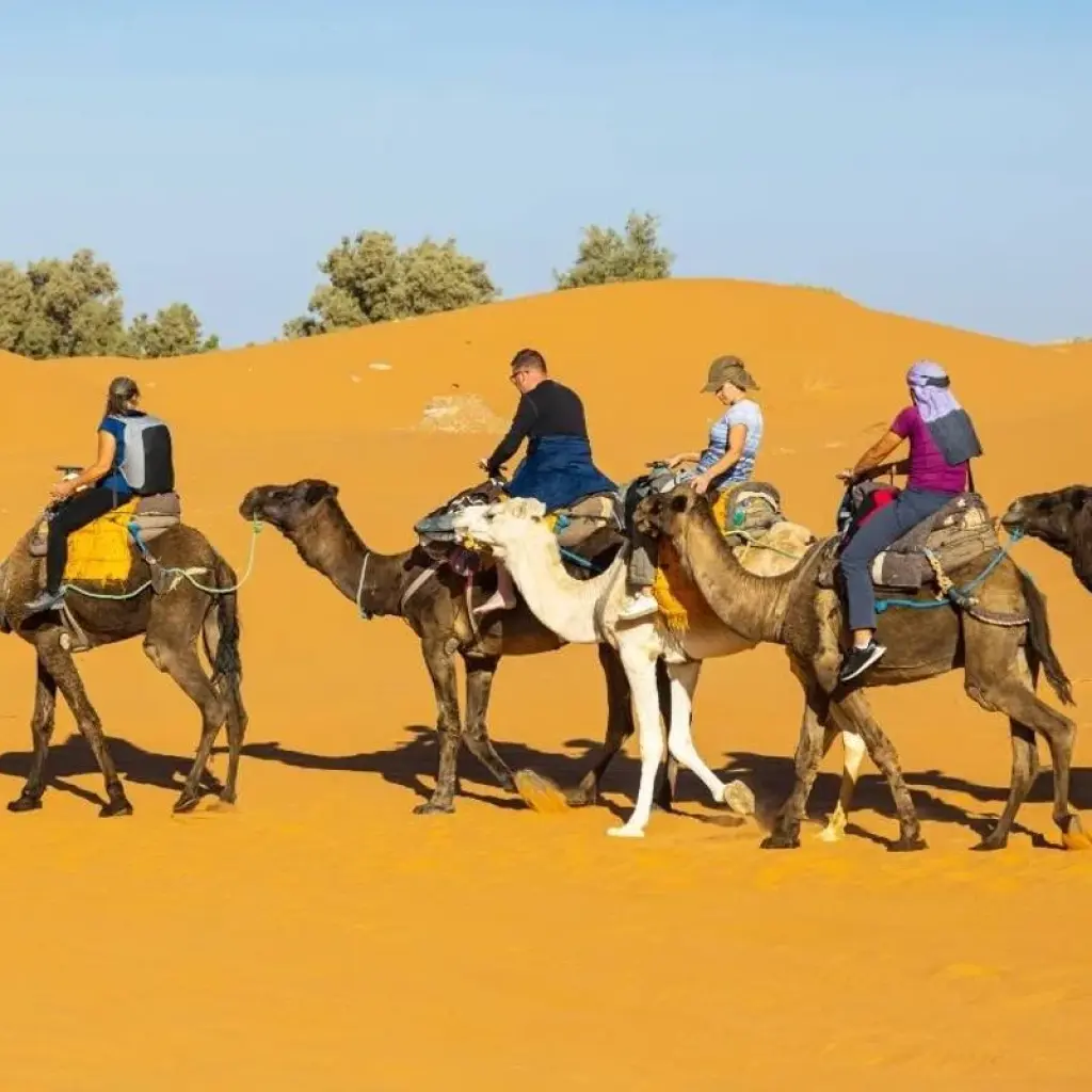 Explore 11 Days Tour from Tangier to Casablanca for 11 days with Guided Morocco Tours and discover unforgettable experiences - Photo 2