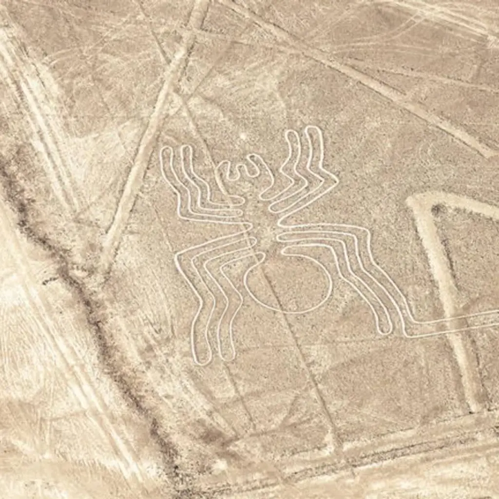 Explore Wonders of Peru 11 days for 11 days with Gulliver Expeditions and discover unforgettable experiences - Photo 2