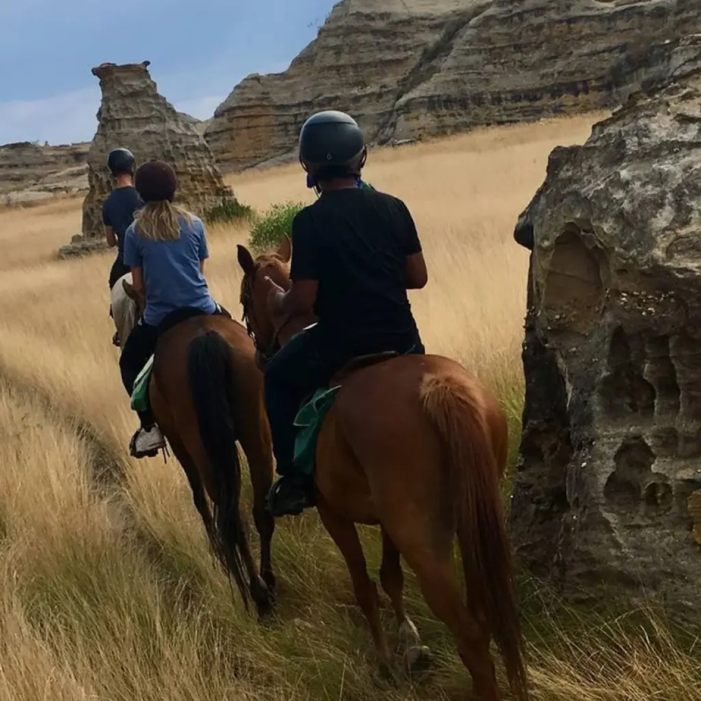 Explore Southern to the Highland for 10 days with HT Agency Tours and discover unforgettable experiences - Photo 2