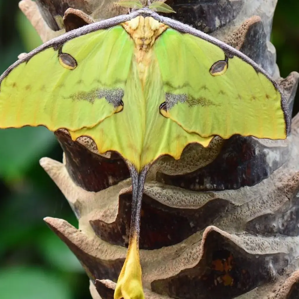 Explore St. Marie - Pangalane - Southern for 18 days with HT Agency Tours and discover unforgettable experiences - Photo 2