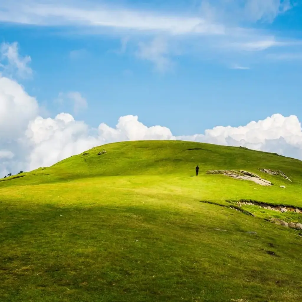 Explore Kashmir Valley Tour for 3 days with Gypsy Traces and Tours and discover unforgettable experiences - Photo 2