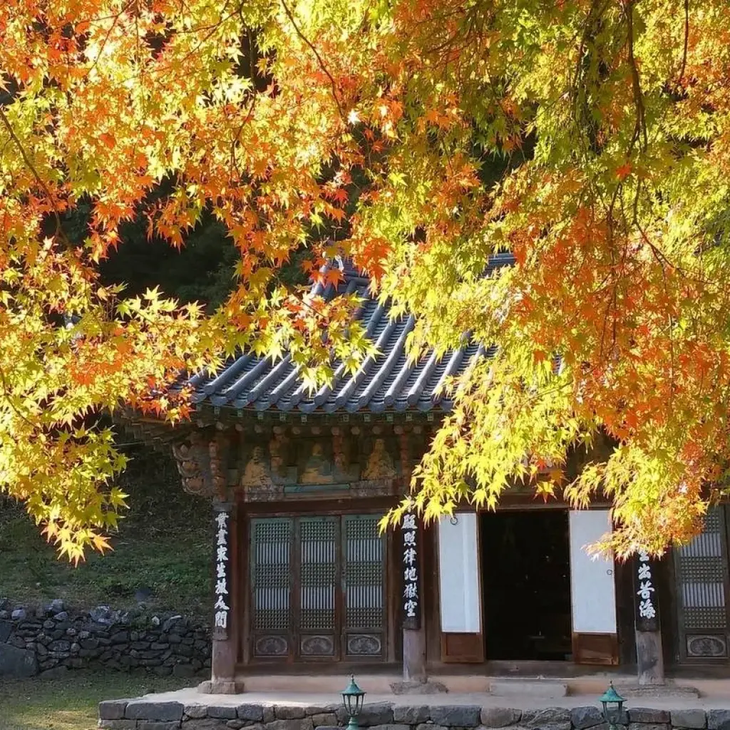 Explore 2025 Discover Western Korea in 4days:  A Wellness Holiday for 4 days with HanaTour ITC and discover unforgettable experiences - Photo 5