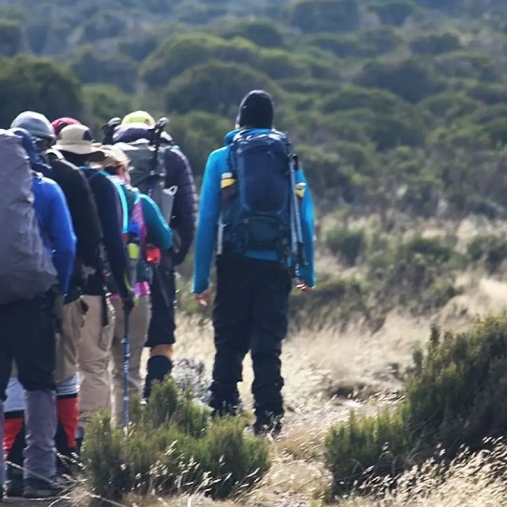 Explore 8-Days Mount Kilimanjaro Safari, Marangu Route for 8 days with Hazzes Adventure and discover unforgettable experiences - Photo 2