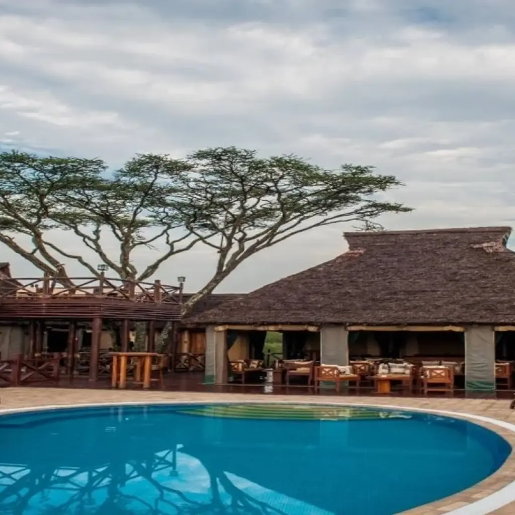 Explore 2 Days Tanzania Lodge safari for 2 days with Hazzes Adventure and discover unforgettable experiences - Photo 2