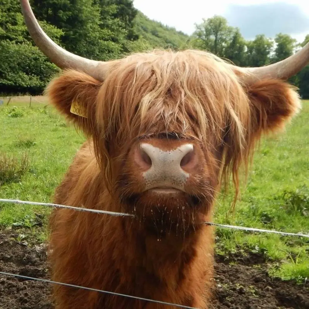 Explore Orkney & The Far North for 5 days with Highland Experience Tours and discover unforgettable experiences - Photo 2