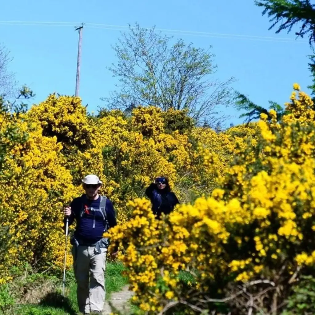 Explore The Wicklow Way: Self Guided 5 Day for 5 days with Hilltoptreks and discover unforgettable experiences - Photo 2