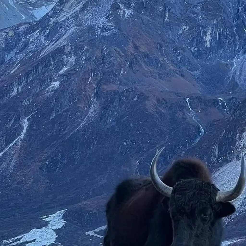 Explore Pikey Peak Trek 2024 for 7 days with Himalaya Heart Treks & Expedition[P] Ltd  and discover unforgettable experiences - Photo 2