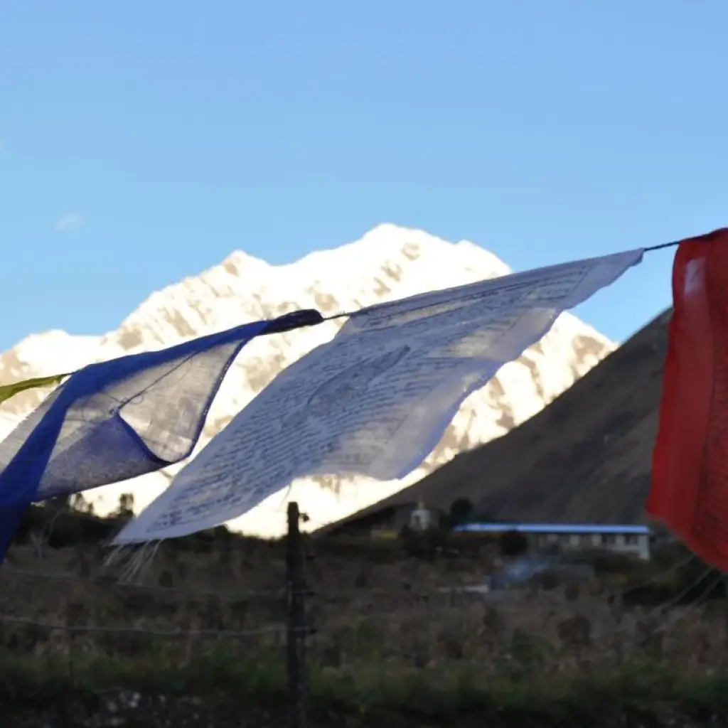 Explore Manaslu Trek for 2024 /2025 for 16 days with Himalaya Heart Treks & Expedition[P] Ltd  and discover unforgettable experiences - Photo 2