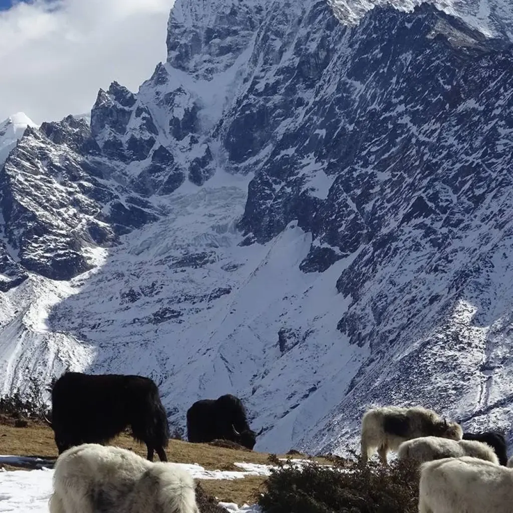 Explore Everest View Trek for 5 days with Himalayan Adventure Treks & Tours and discover unforgettable experiences - Photo 2