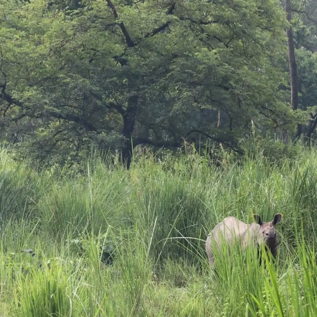 Explore Nepal Reflection Tour | 9 Days in Nepal for 9 days with Himalayan Planet Adventures and discover unforgettable experiences - Photo 2