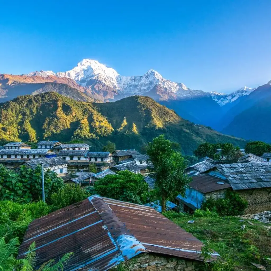 Explore Bardiya Safari Tour (Private Tour) for 4 days with Himalayan Trekking Path P.Ltd and discover unforgettable experiences - Photo 2