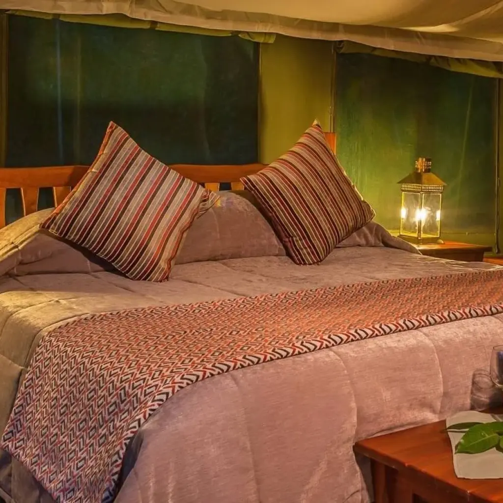 Explore 8 Day The Mara Serengeti Safari for 8 days with Holiday Destination Safaris and discover unforgettable experiences - Photo 2