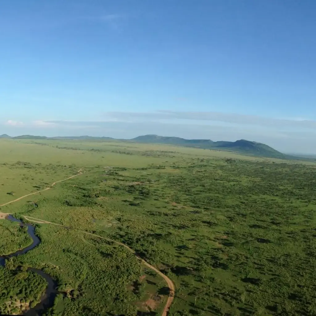 Explore Affordable Kenya Tanzania Safari for 11 days with Holiday Destination Safaris and discover unforgettable experiences - Photo 2