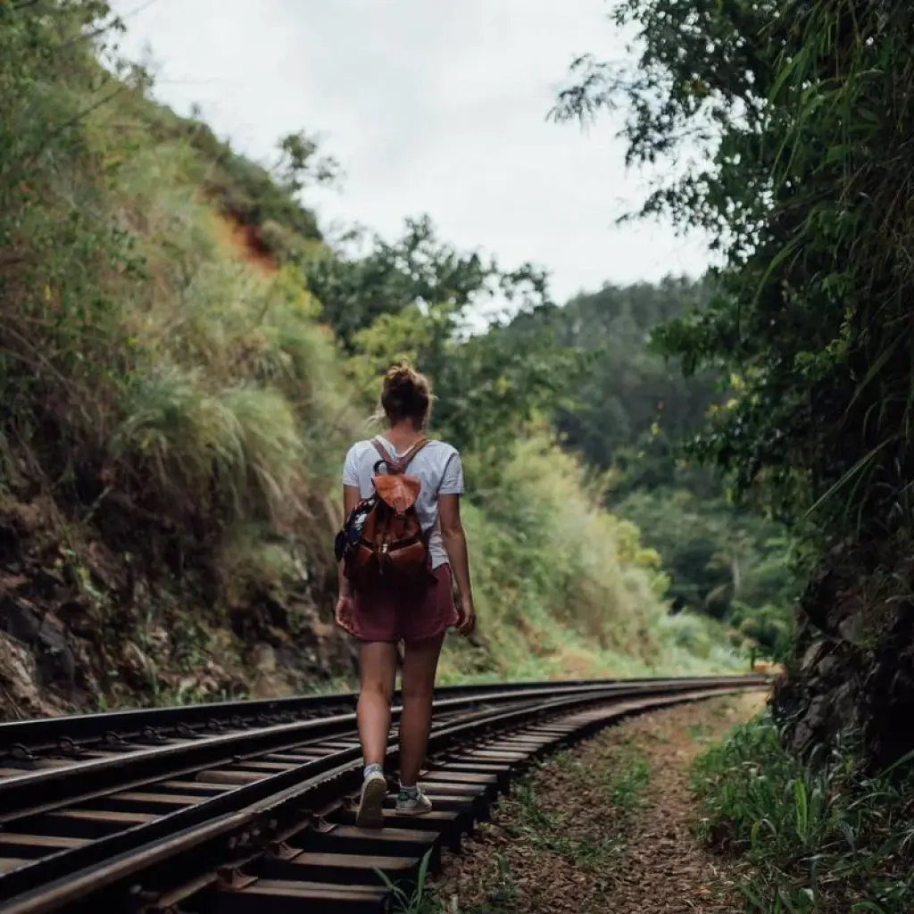 Explore Sri Lanka Itinerary 10 Days for 10 days with Holiday Lanka Tours and discover unforgettable experiences - Photo 2