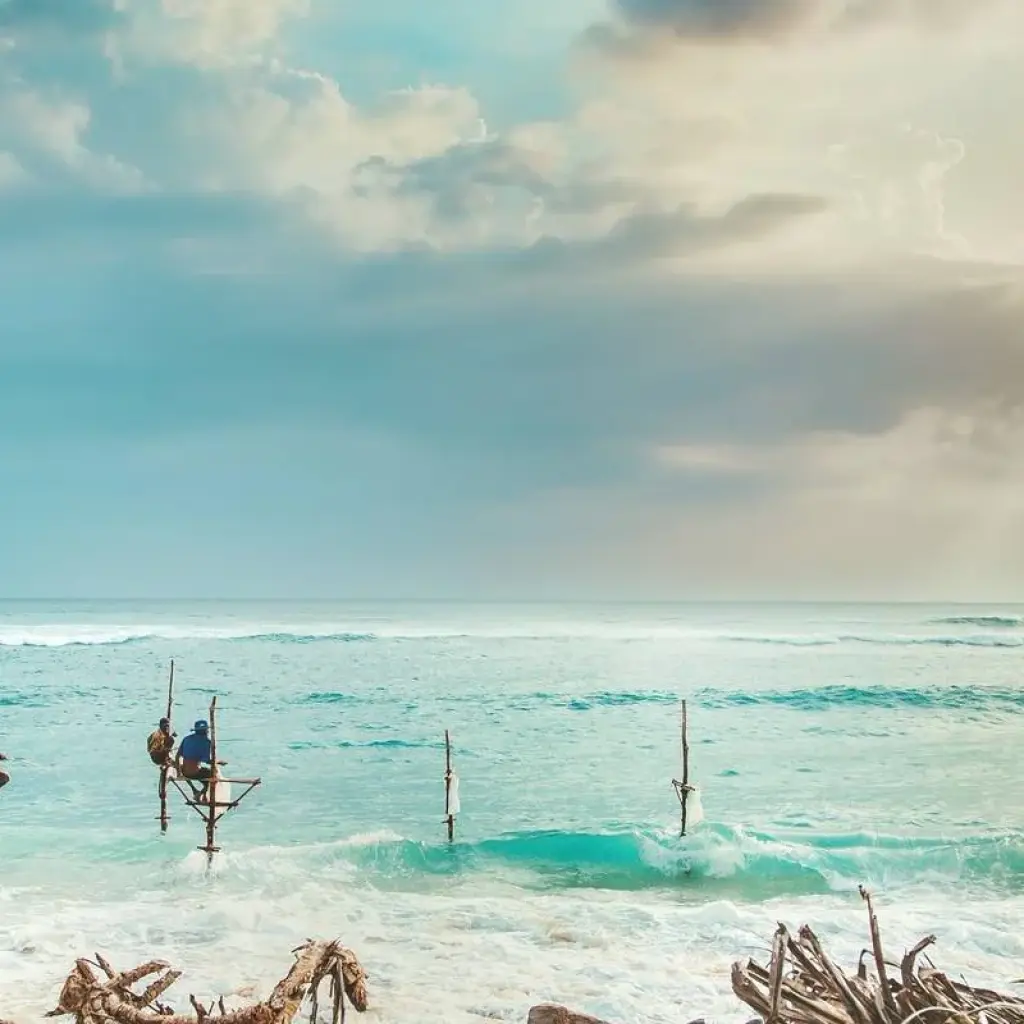 Explore 2 Weeks Sri Lanka Tour Itinerary for 14 days with Holiday Lanka Tours and discover unforgettable experiences - Photo 2