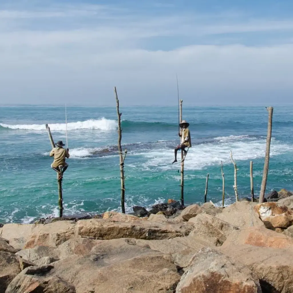 Explore Sri Lanka Itinerary 14 Days for 14 days with Holiday Lanka Tours and discover unforgettable experiences - Photo 2