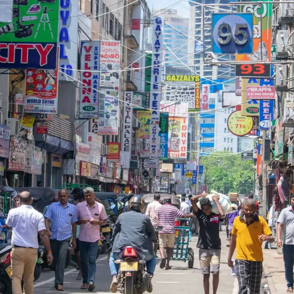 Explore Sri Lanka 6 Days Itinerary for 6 days with Holiday Lanka Tours and discover unforgettable experiences - Photo 2