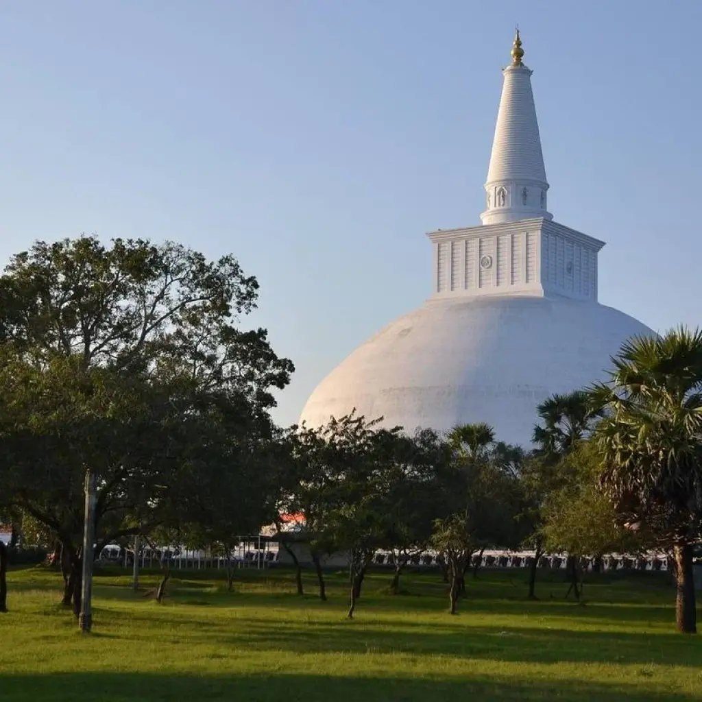 Explore Sri Lanka Itinerary 14 Days for 14 days with Holiday Lanka Tours and discover unforgettable experiences - Photo 2