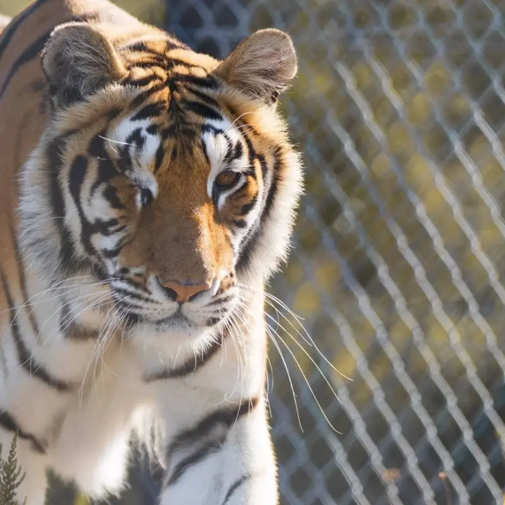 Explore 2 day Wow Cape Escape for 2 days with Hotspots2c and discover unforgettable experiences - Photo 2