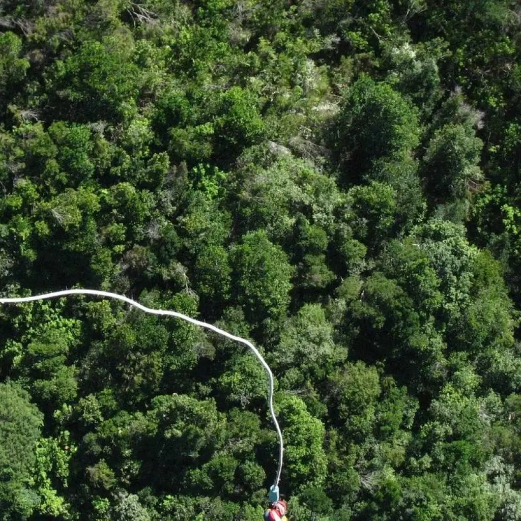 Explore 3 day Garden Route + Safari Highlights Tour from Cape Town for 3 days with Hotspots2c and discover unforgettable experiences - Photo 2