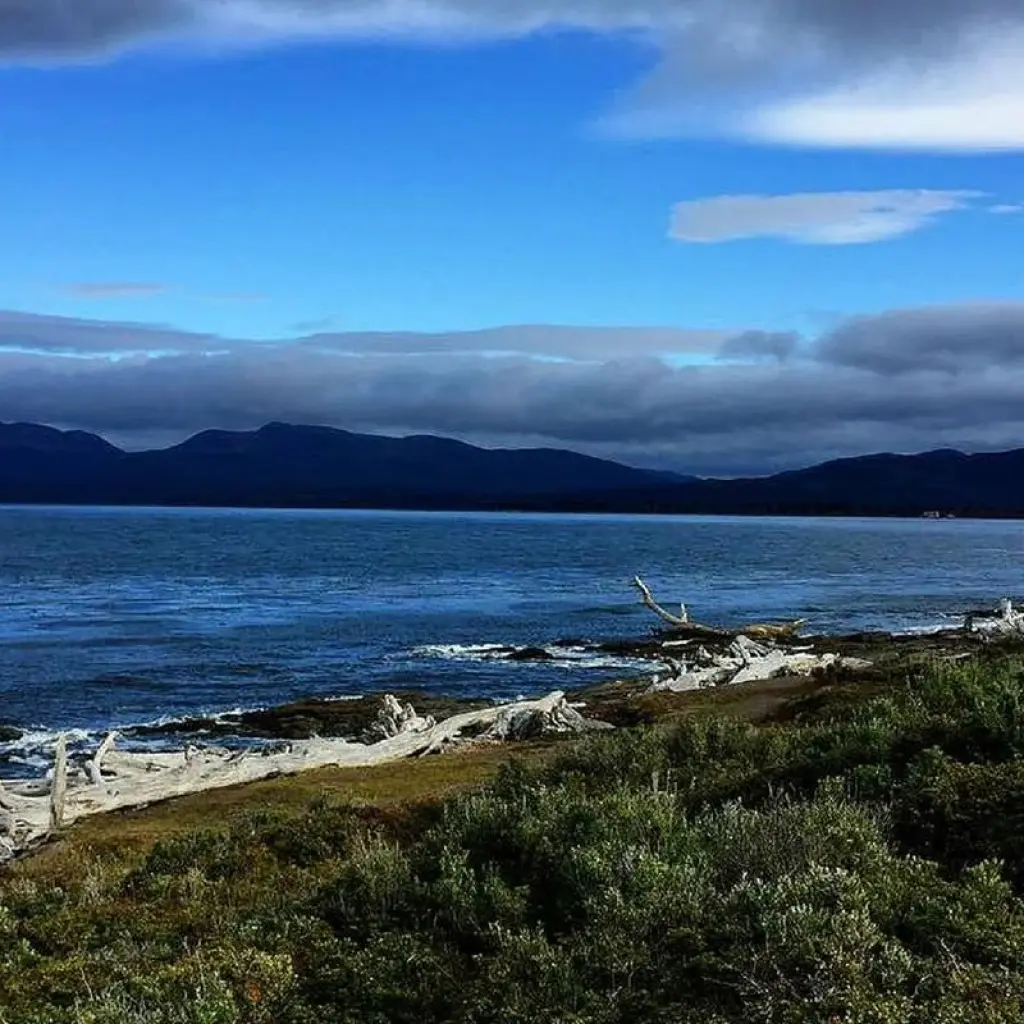 Explore In-Depth Antarctica, Falklands & South Georgia Expedition (2025) for 23 days with Hurtigruten and discover unforgettable experiences - Photo 2