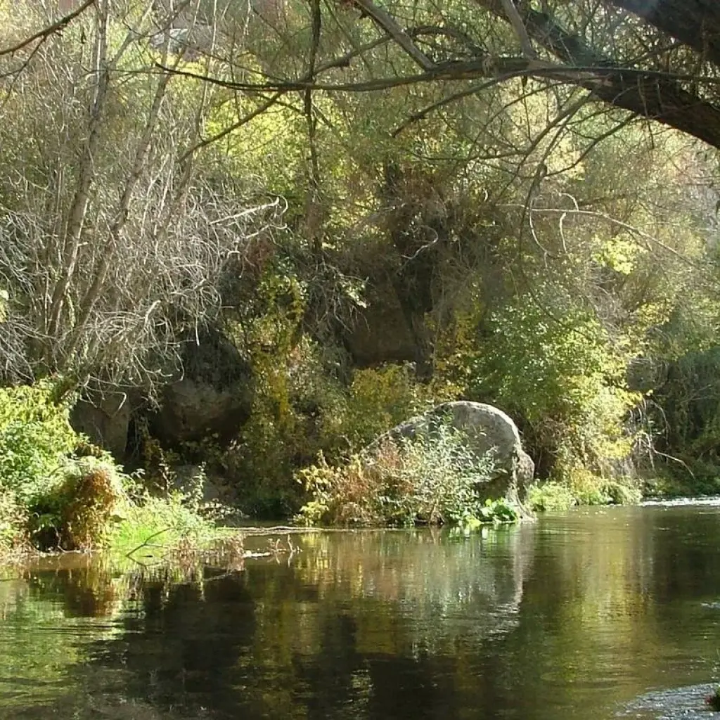 Explore 8 Days - Ephesus Pamukkale Cappadocia Istanbul Tours for 8 days with Iglesias Tour Turkey and discover unforgettable experiences - Photo 2