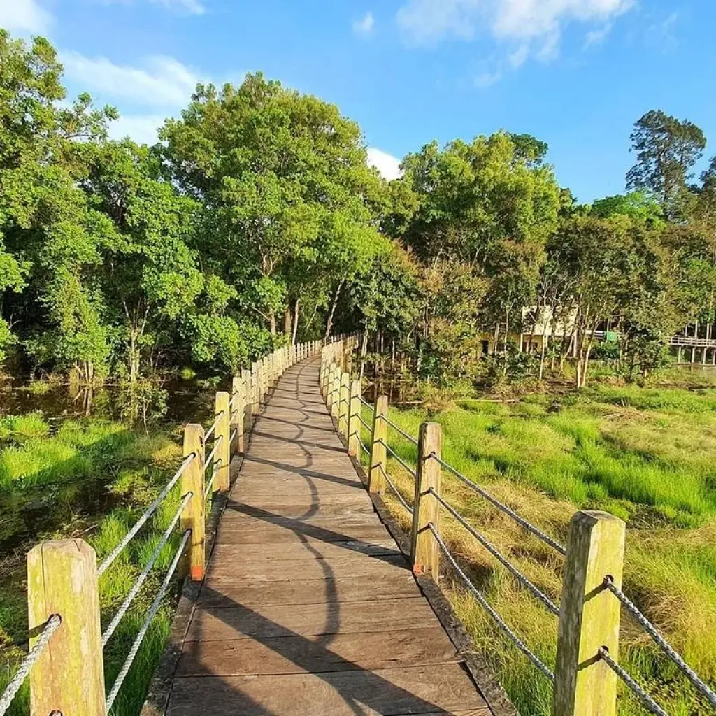 Explore 3 Days/2 Nights in Nam Cat Tien - Ecological Trails – Night Safari – Gibbon Trekk - Crocodile Lake – Boat Tour for 3 days with Ideal Travel Asia and discover unforgettable experiences - Photo 2