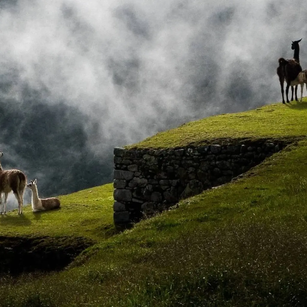 Explore 06 Day Essential Cusco "The Andean Jewels" for 6 days with Inkayni Peru Tours and discover unforgettable experiences - Photo 2