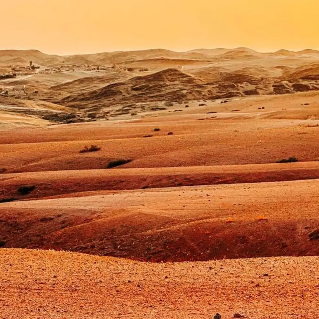 Explore Premium Morocco Highlights (8 destinations) for 9 days with Intrepid Premium and discover unforgettable experiences - Photo 2