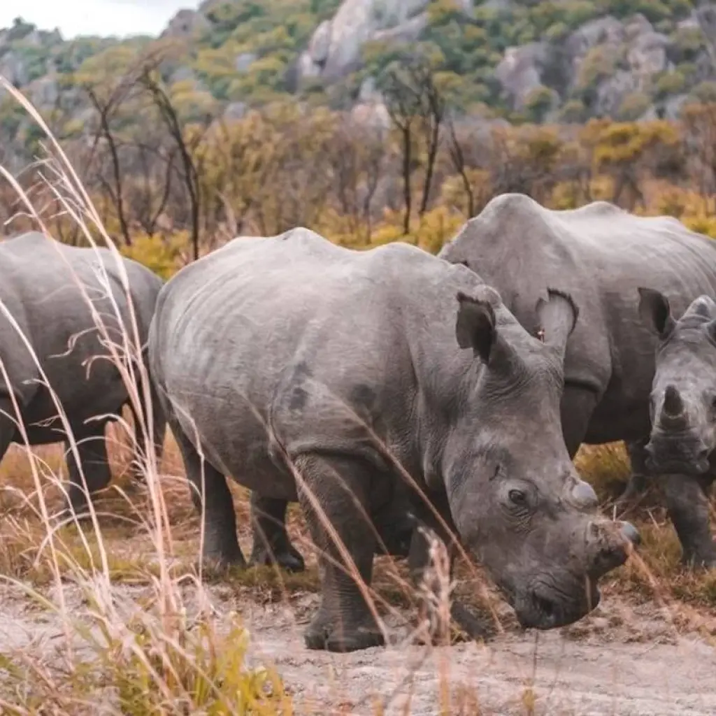 Explore Stone Town to Vic Falls for 16 days with Intrepid Travel and discover unforgettable experiences - Photo 2